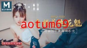 国产麻豆AV 爱豆 MAD009 青楼美艳花魁 文冰冰