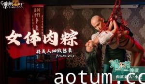 国产AV91CM250女体肉粽小艺的啊!